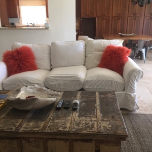 Photo of Dino Cleaning