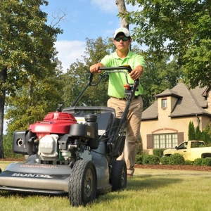 Photo of Waynes Pest Control