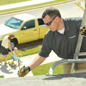 Photo of Waynes Pest Control