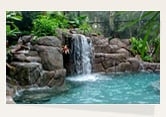 Photo of California's Tru Blue Pool Service
