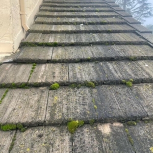 Photo of Sierra Soft Wash
