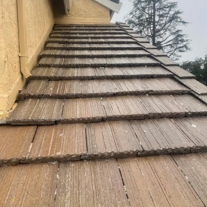 Photo of Sierra Soft Wash
