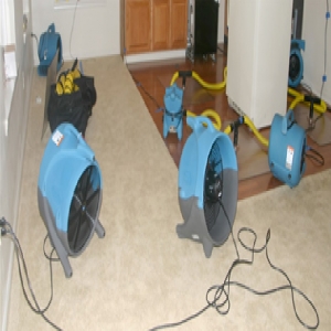 Photo of TCWRC Water Damage Miami Beach