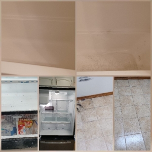 Photo of Deep Clean Pro's
