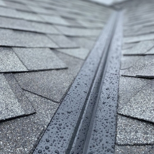 Photo of Rain State Roofing
