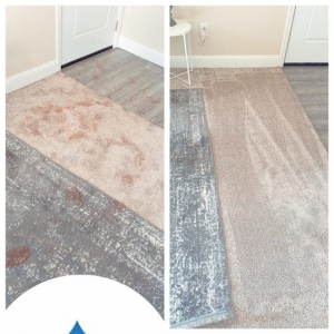 Photo of Elite Cleaning Crew