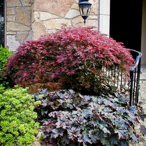 Photo of CGreens Landscape Management