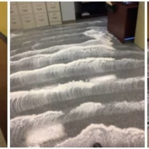 Photo of PR Professional Cleaning