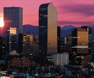 Photo of Mavi Unlimited Property Management