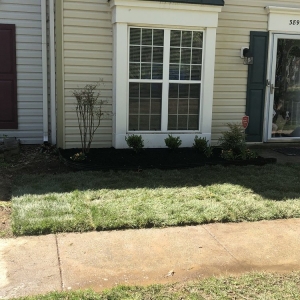 Photo of Ave Landscaping
