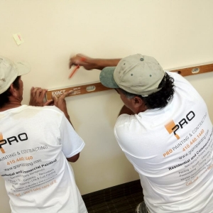 Photo of Pro Painting & Contracting
