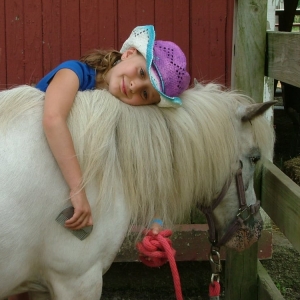 Photo of Marmon Valley Farm