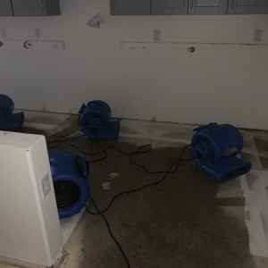 Photo of Drip Restoration