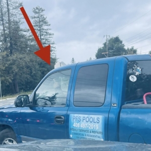 Photo of PFS Swimming Pool Services