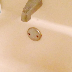 Photo of Centex Rootdown Plumbing