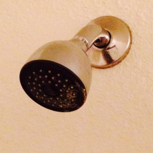 Photo of Centex Rootdown Plumbing