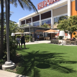 Photo of OC Turf and Putting Greens