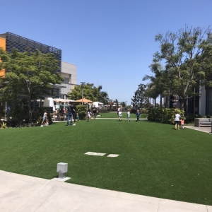 Photo of OC Turf and Putting Greens