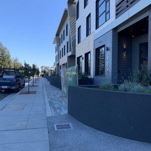 Photo of Loma Verde Gardens