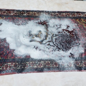 Photo of Extreme Carpet Cleaning