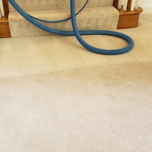 Photo of Extreme Carpet Cleaning
