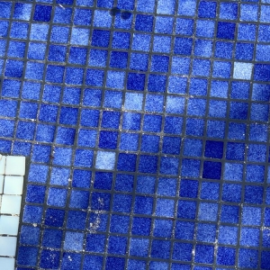 Photo of Pinch A Penny