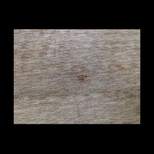 Bellevue Anderson Carpet, Wood & Tile Cleaning