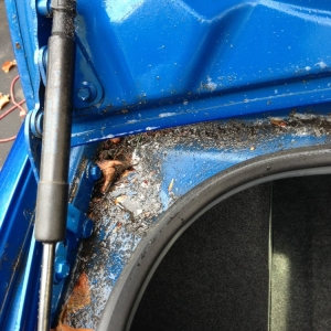 Photo of Precision Auto Salon