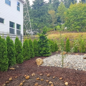 Photo of Husky Fence