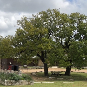 Photo of Blue Sage Hall