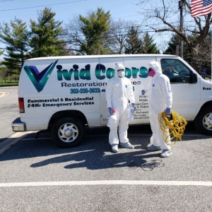 Photo of Vivid Colors Carpet Cleaning & Restoration