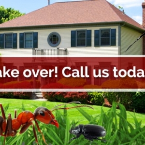 Photo of E & R Exterminating Company