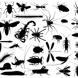 Photo of E & R Exterminating Company