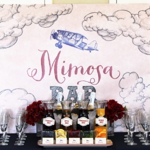 Photo of Ashleigh Nicole Events