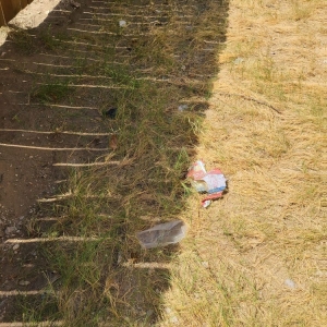 Photo of Liberty Management