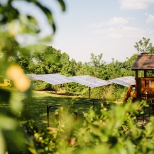 Nashville GreenForm