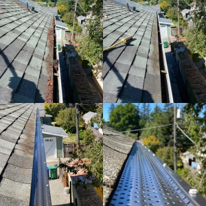 Photo of Gutter Seattle