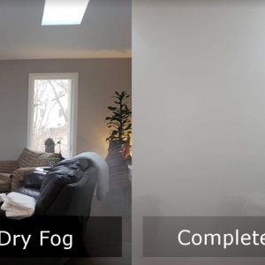 Denton Mold Busters Denton
