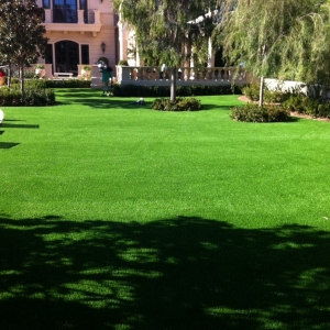 Photo of SmartGrass