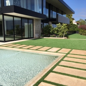 Photo of SmartGrass
