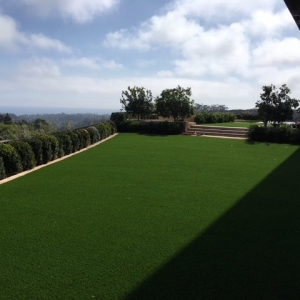 Photo of SmartGrass