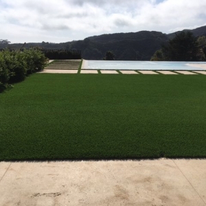 Photo of SmartGrass