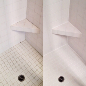 Photo of LV Grout Tile Surgeon