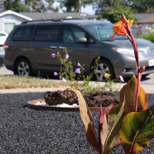 Photo of Jessie Landscaping & Maintenance