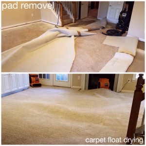 Photo of USA Green Clean