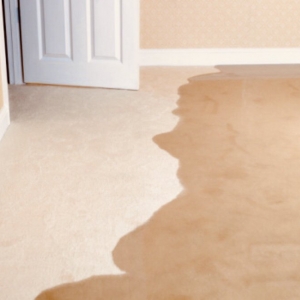Photo of USA Green Clean