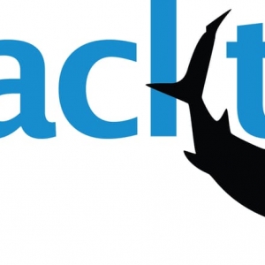 Photo of Blacktip