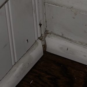Photo of Good Ol' Boy Hardwood Floors