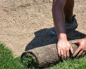 Photo of Arkansas Sod & Turf Farm