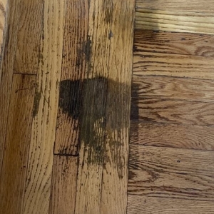 Photo of American Floor Design
